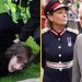 Man arrested ‘after throwing eggs at King Charles and Queen Consort’ (photos)