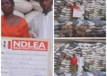 NDLEA arrests couple with 273 bags of cannabis in Ogun