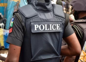 Police ‘arrest’ sheep for eating trader’s fried fish in Borno