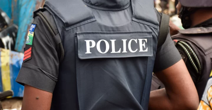 Police ‘arrest’ sheep for eating trader’s fried fish in Borno