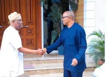 Presidency: Real reason I promised to support Peter Obi – Wike