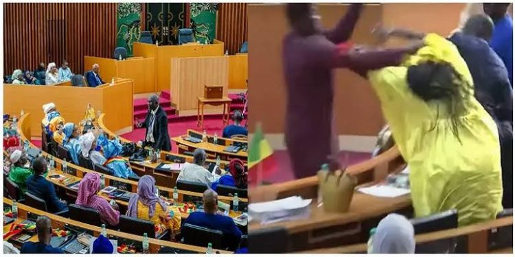 Fight breaks out in Senegal after lawmaker slaps female colleague for ‘insulting’ religious leader during live parliament session (video)
