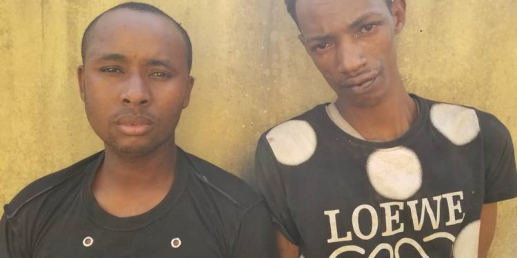 Ogun police arrest two kidnappers, rescue victim