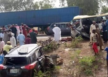 2 persons, 12 cows die in accident along Zaria-Kano Road