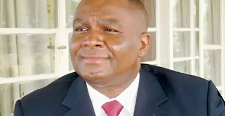 PDP expels Nnamani, Fayose, 5 others