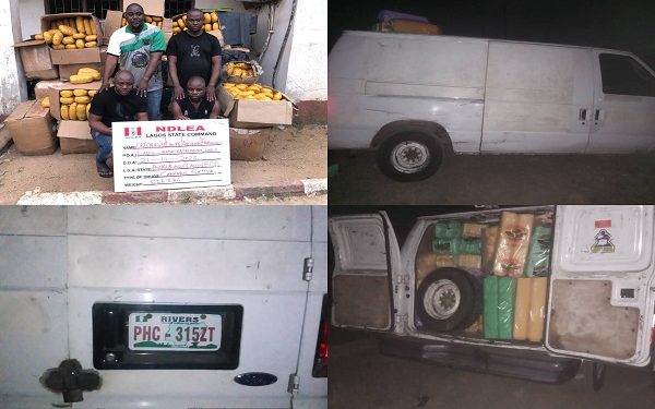 Six drug traffickers bag 156 years imprisonment in Lagos, Ogun, says NDLEA