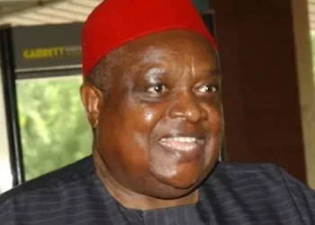 Those destroying Igbo properties in Lagos are political rascals – Iwuanyanwu: 