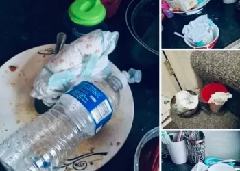 Concerned husband whose wife leaves soiled diapers in plates asks for advice