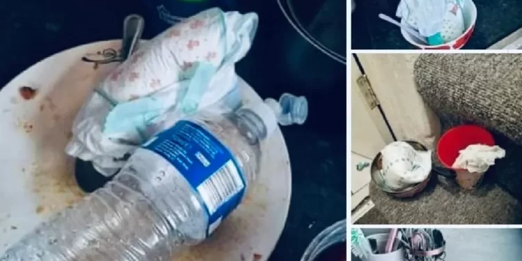 Concerned husband whose wife leaves soiled diapers in plates asks for advice