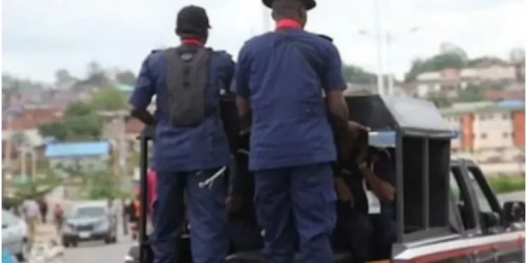 NSCDC arrests 19 for allegedly looting rice truck along Kano-Zaria road