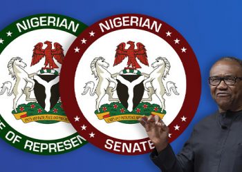 Labour Party Makes Inroads Into NASS, Clinches Six Senate, 34 Reps Seats