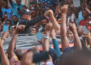 Obi came like hurricane — he did what had never been done in Nigerian politics – Fayose