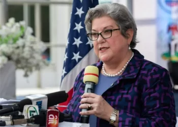 Presidential elections failed to meet Nigerians’ expectations – U.S. Ambassador
