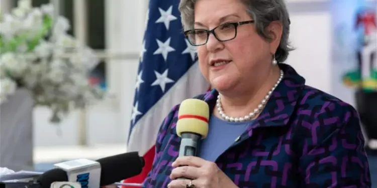 Presidential elections failed to meet Nigerians’ expectations – U.S. Ambassador