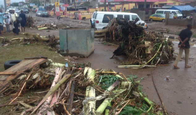10-year-old boy drowns, 6 others killed as rainstorm batters Delta