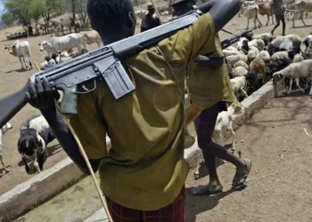 Herdsmen murder Labour Party Chairman in Benue