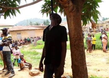 Middle-aged man found dead under Mango tree in Ekiti