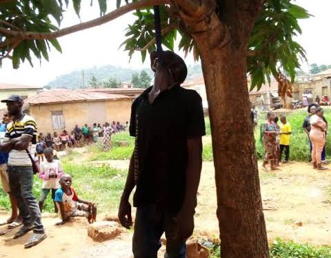 Middle-aged man found dead under Mango tree in Ekiti