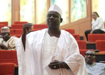 10th NASS Leadership Should Be Open, Not Zoned, Says Ndume