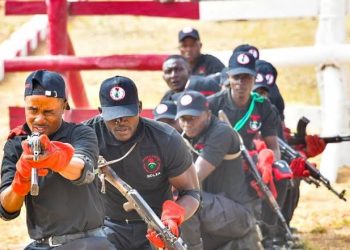 NDLEA extends application deadline for recruitment exercise by one week