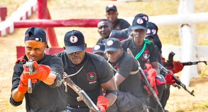 NDLEA extends application deadline for recruitment exercise by one week