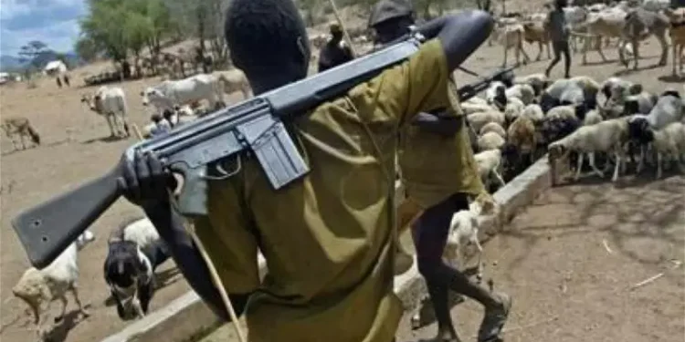 Couple, only child, 7 others killed in fresh herders attacks in Benue