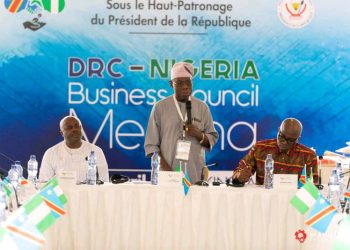 DRC-Nigeria Business Council: Investors eye energy, transportation, agric sectors