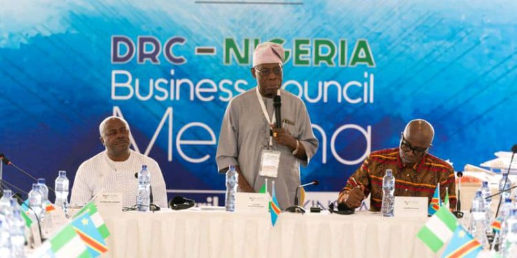 DRC-Nigeria Business Council: Investors eye energy, transportation, agric sectors