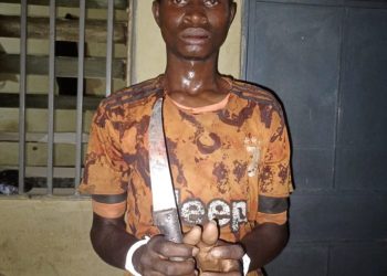 Court remands man for allegedly killing his mother in Kano