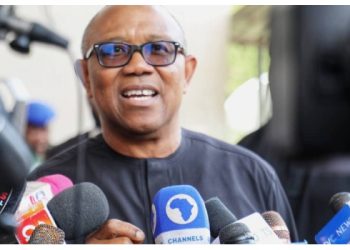 How I Would Have Removed Fuel Subsidy — Peter Obi Breaks Silence