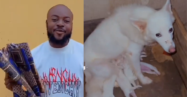 Over 85 people bought aso-ebi, attended my dog, Nike’s N490K naming ceremony – Ochonma Joseph