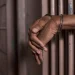Niger: Police inspector sentenced to 22 years in prison for impregnating his biological daughter