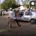 Fuel subsidy: Varsity student reportedly arrives at the campus on a donkey as transport fares skyrocket