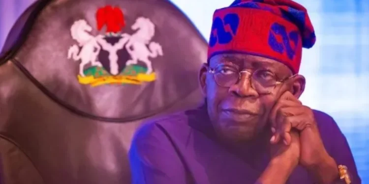 Tribunal admits Tinubu’s Chicago University education record, US visa as exhibits