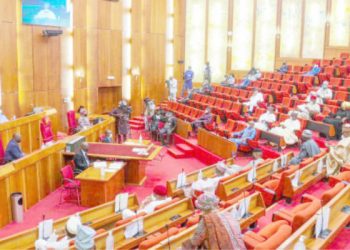 Senate Tells Employers To Remove Age Limit For Employment