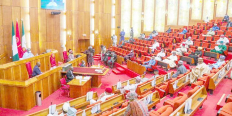 Senate Tells Employers To Remove Age Limit For Employment