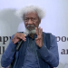 Soyinka Wants Closed Cases Of Religious Killings Reopened, Demands Public Holiday For Traditionalists