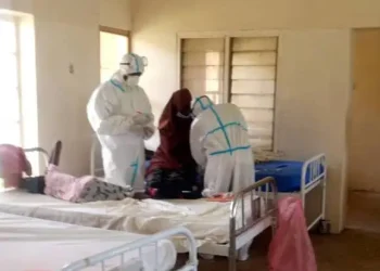 Outbreak of unknown disease kills 10 in Kaduna