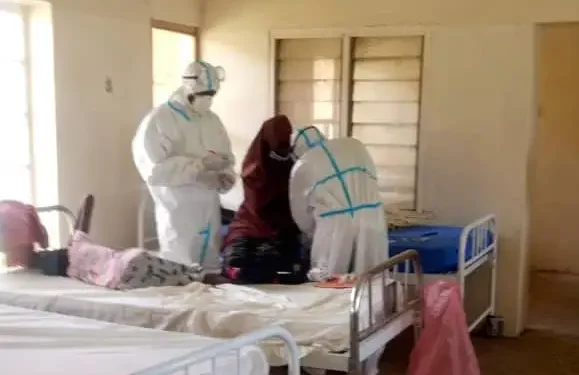 Outbreak of unknown disease kills 10 in Kaduna