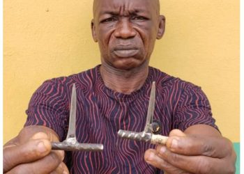 Police arrest suspected car thief in Ogun 