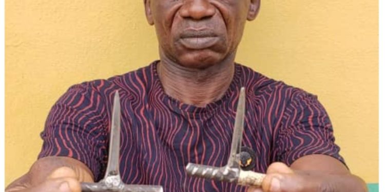 Police arrest suspected car thief in Ogun 
