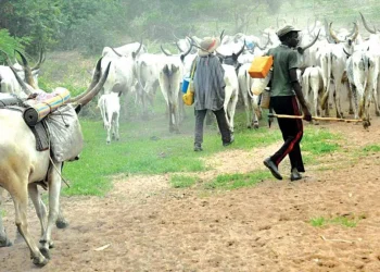 We’ll end all killings during President Tinubu’s administration – Fulani herders 