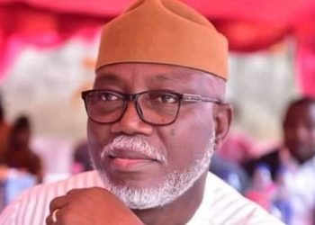 Ondo acting Governor sacks Local Government Chairmen