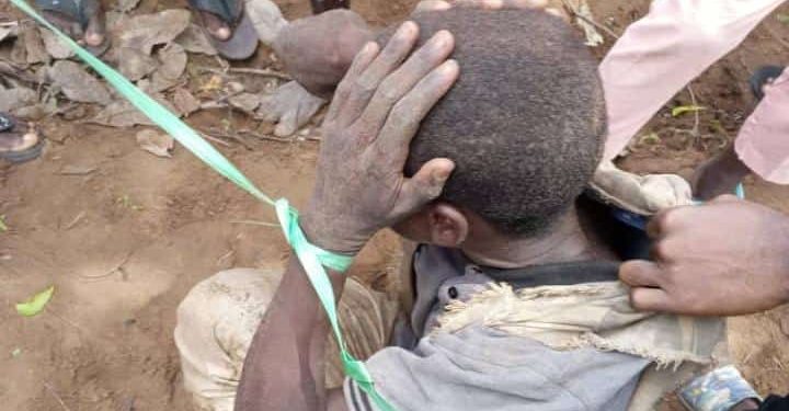 Suspect accused of stealing children set ablaze in Niger ( Video)