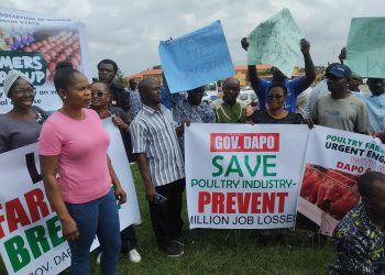 Ogun Poultry Association laments high cost of feeds