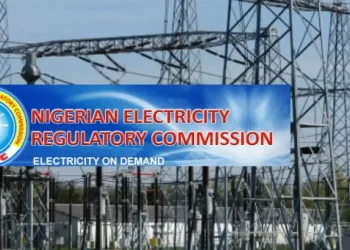 Niger owes Nigeria N4.22bn for electricity supply – NERC