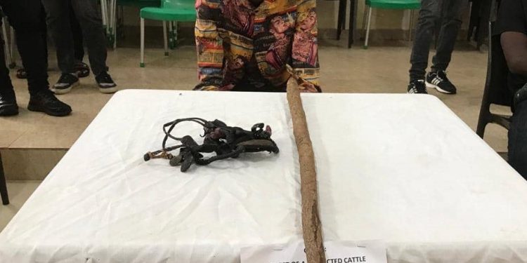 Oyo police arrest herder who killed his employer, buried corpse in shallow grave and absconded with 20 cows and 14 sheep