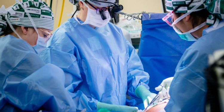 US surgeons carry out world’s second pig-to-human heart transplant