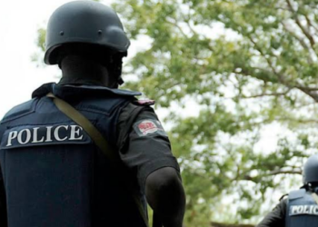 Doctor arrested for allegedly harvesting female patient’s organ in Plateau