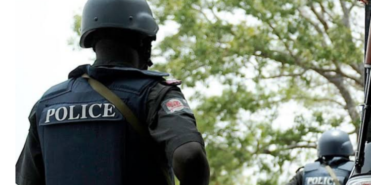 Doctor arrested for allegedly harvesting female patient’s organ in Plateau